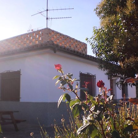 Casa Los Olivos Grávalos 外观 照片