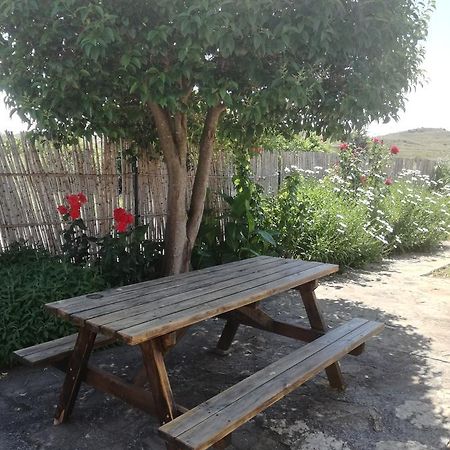 Casa Los Olivos Grávalos 外观 照片